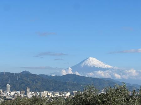 静岡の恵みから生まれた逸品　レモンオリーブオイル「