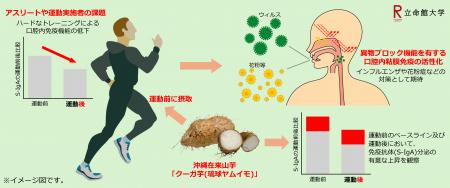 沖縄在来山芋“クーガ芋(琉球ヤムイモ)”の粘膜免utf-8