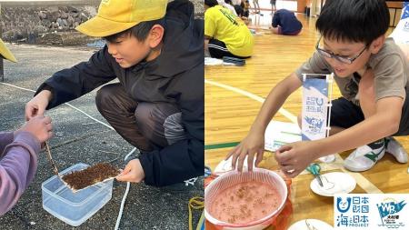 「私の海藻、大きくなあれ！」小学校内で海藻を養殖【