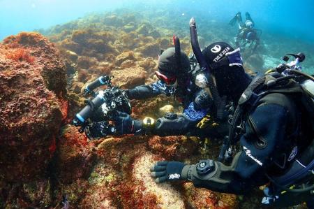 ＜イベントレポート＞透明度抜群の冬の海で繰り広げる