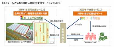 エスプール、知的障がい者専用の企業向けの貸し農園を