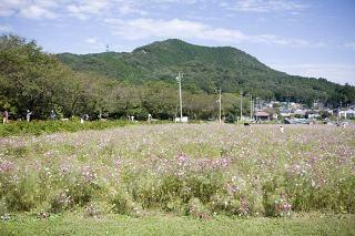 福岡市の予算、過去最大に膨らむ　