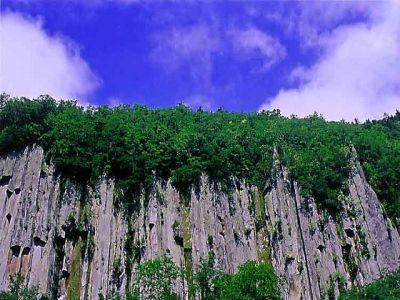 鳥取県と３町、事務の共同化を検討