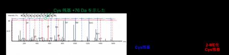 ジメチルスルホキシドと2-メルカプトエタノールutf-8