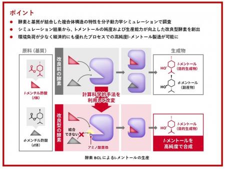 計算科学で高純度L-メントールを生産する酵素の開発に