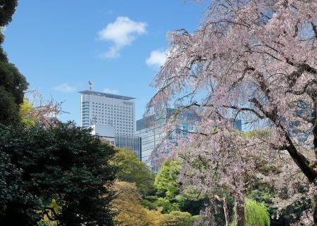 春の門出に華を添える会食におすすめな彩りカラフルな