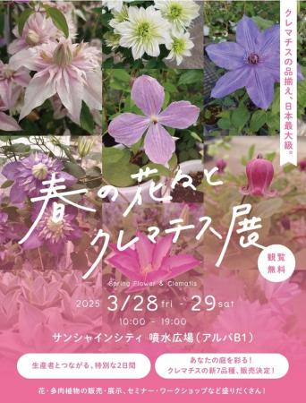 サンシャインシティ「春の花々とクレマチス展」＊開催