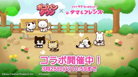 「LINE ポコパンタウン」、『タマ＆フレンズ～うちの