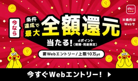 「最大全額Pt還元！総額1億円分が20万名に当たるキャ