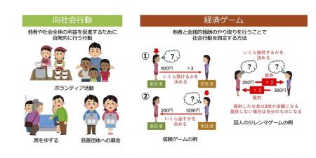 【玉川大学・神戸大学共同研究成果】