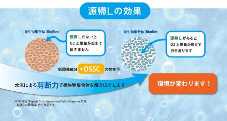廃水処理におけるカルシウムスケールの問題を新utf-8