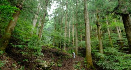 徳島の自伐林家、橋本 光治さんの人生と森作りのutf-8