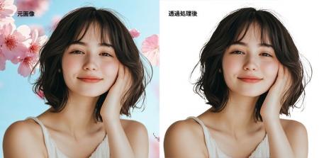 【100%無料】Aiarty Image Matting（AI背景透過ツール