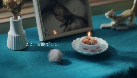 虹のかなたで待っているペットちゃんへの愛情あふれる