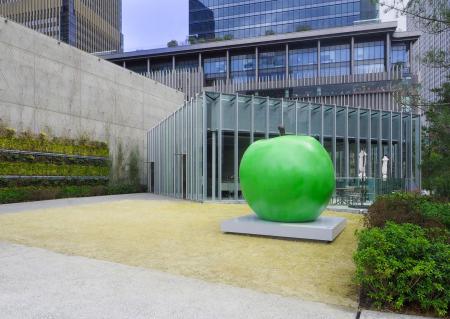 ついに開幕！建築家・安藤忠雄の挑戦の軌跡を一望する