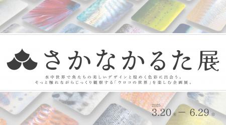 魚のキラめき、ウロコを再現した「さかなかるた」60種
