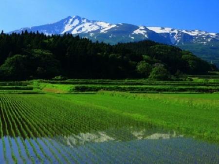 地産地消を活かしたビジネスも盛んで、地元の農産...