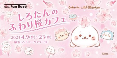 「しろたんのふわり桜カフェ」が横浜・みなとみらい「