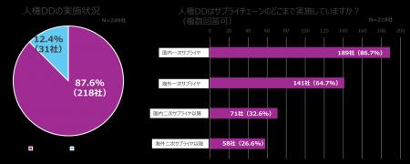 調達領域におけるサステナビリティ調査レポートを公開
