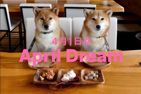 愛犬と泊まれる温泉旅館【下関市】川棚グランドホテル