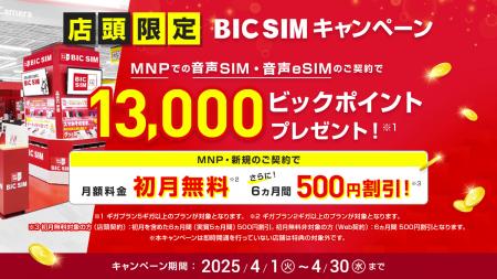 【BIC SIM】ビックカメラグループ店舗限定でビックポ
