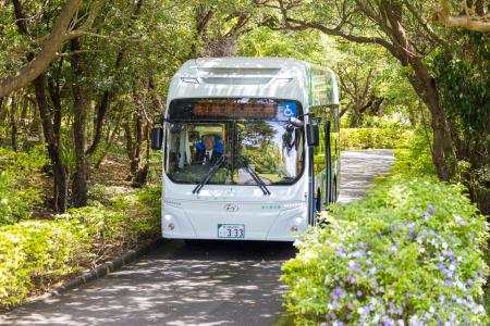 ヒョンデ、世界自然遺産・屋久島に電気バスを納車、町
