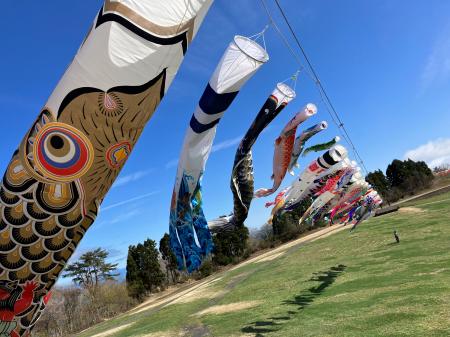 【びわこ箱館山】こいのぼりエリア新登場！関西一標高