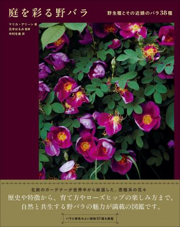 【野生種とその近縁のバラ38種】歴史や特徴、生育方法