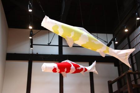 酒蔵を泳ぐ！？ 今代司酒造 日本酒「錦鯉」オリジナル