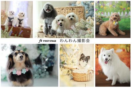 スタジオだから叶う、愛犬との“かけがえのない一枚”。