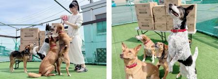 動物の命や健康を守るため 全国の動物愛護団体等への