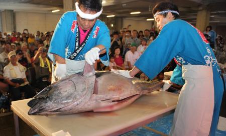 「マグロの解体ショー」がふるさと納税に！ 捌いた本