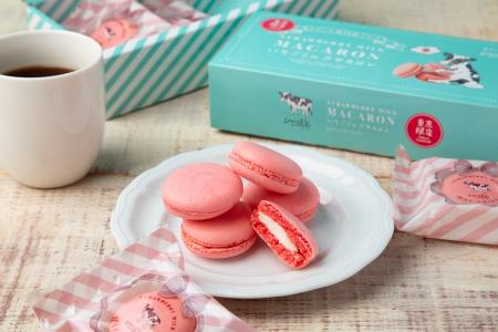 【生クリーム専門店ミルク】出会えるのは、東京だけ。
