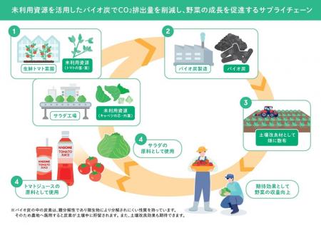 カゴメとキユーピーが未利用野菜資源のバイオ炭化で共