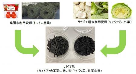 キユーピーとカゴメが未利用野菜資源のバイオ炭化で共