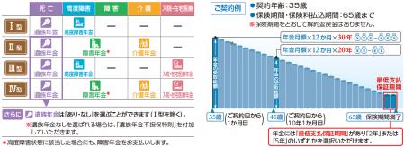 「無解約返戻金型収入保障保険（無配当）」等の発売に