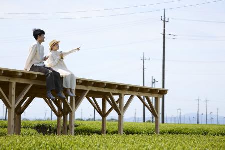 【2025新茶シーズン到来】茶畑テラス「茶の輪」予約数