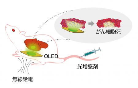 ワイヤレスで駆動する有機EL(OLED)により新しいutf-8