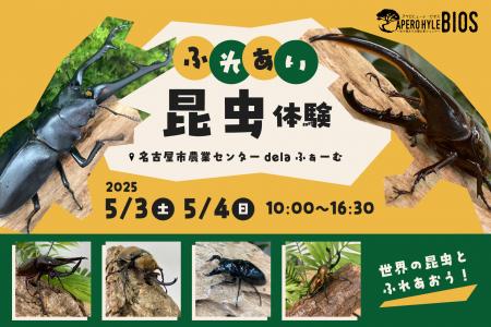 今年もやります！生き物たちの隠れ家ショップAPERO　H