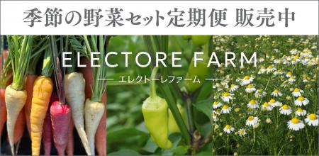 【旬の無農薬野菜＆ハーブをお届け】エルビュー株式会