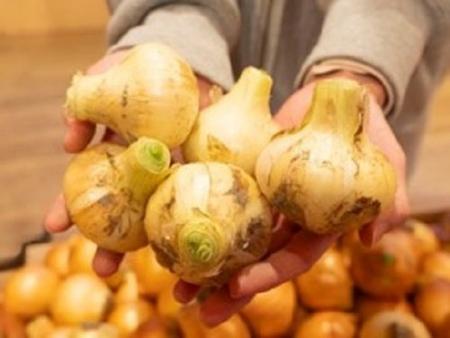 地域の皆様へ日頃の感謝を込めて 淡路島の特産品等を