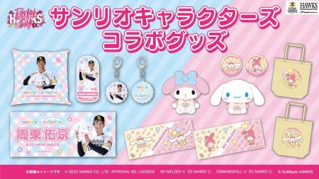 【新発売/福岡ソフトバンクホークス】ピンクフルデー2