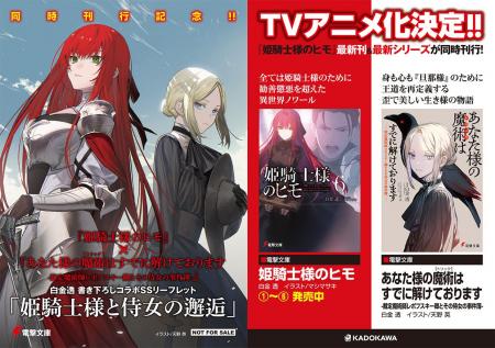 TVアニメ化決定『姫騎士様のヒモ』小説最新6巻発売！