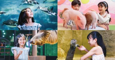 【DMMかりゆし水族館】ゴールデンウィーク期間（12日