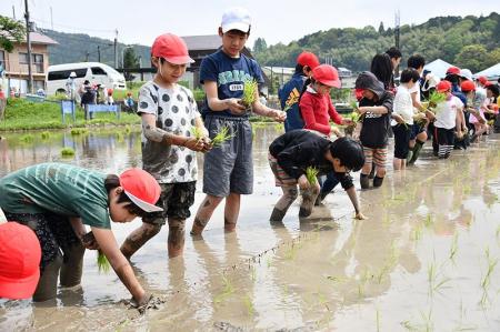 山間地域の高槻市立樫田小学校で平野部より一足早い田