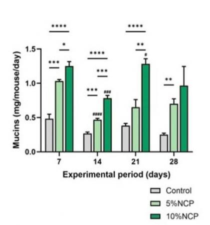 【中部大学】食用サボテンの腸内環境改善と免疫utf-8