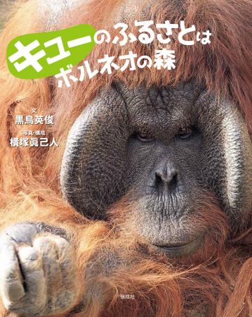 地球上から消えつつある、オランウータンの森。写真絵