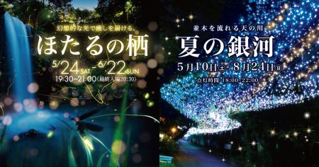 夏のはじまり、ほたると出会う夜。幻想的で癒しを届け
