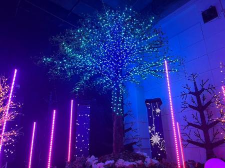 LED照明の販売、施工から演出システムまでを手掛utf-8