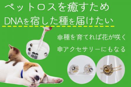 ペットのDNA×植物のタネでペットロスに寄り添うutf-8